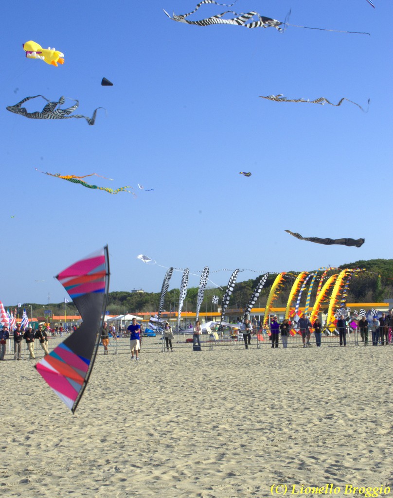 32 FESTIVAL CERVIA 2012 - 113_cr.jpg